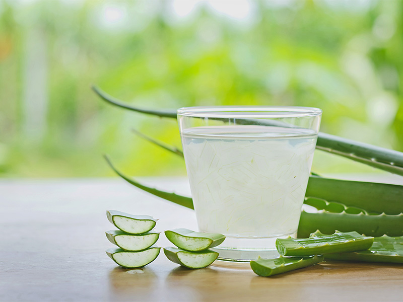 cerstve-listy-aloe-vera-zdrave-travnie